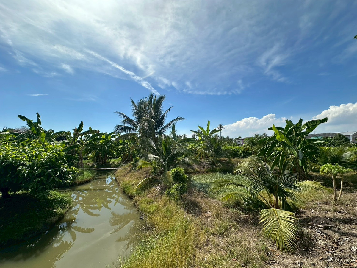 For SaleLandBang kae, Phetkasem : Empty land for sale, Soi Ruam Yat, area 8-0-72 rai, good location, convenient travel, access to water and electricity.