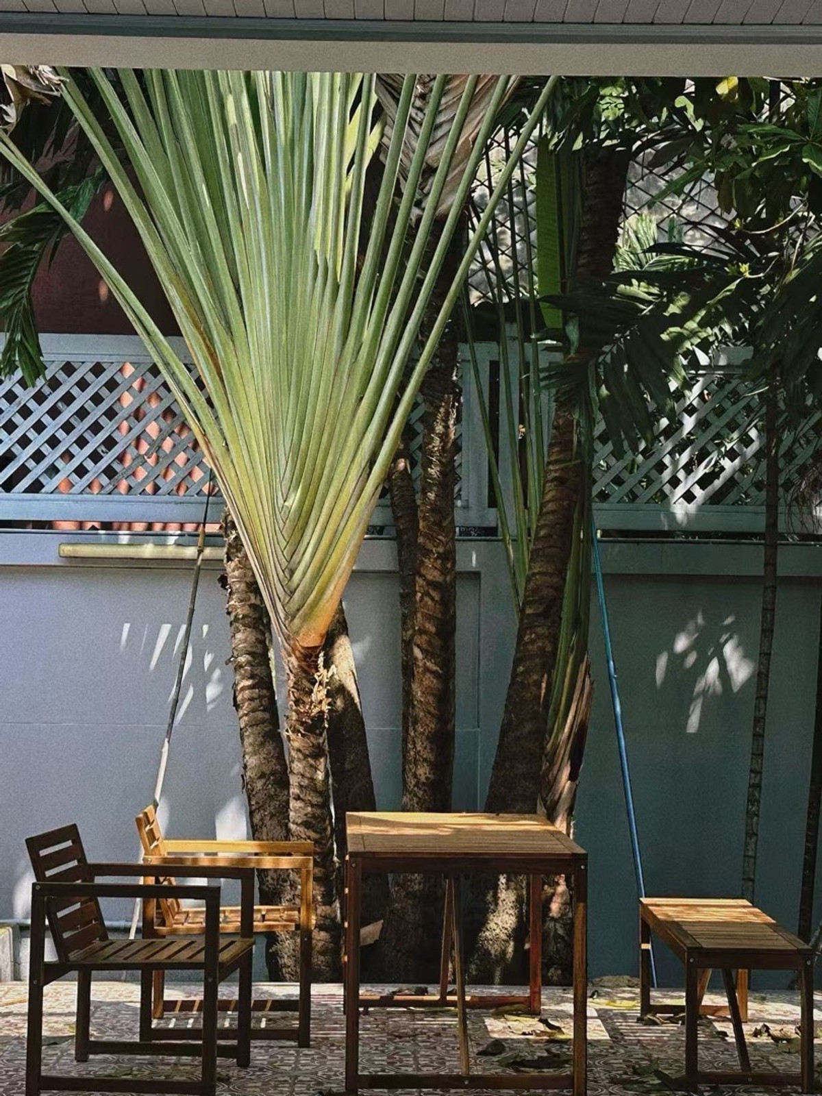 ให้เช่าสุขุมวิท อโศก ทองหล่อ : 🌈บ้านพูลวิลล่าเดี่ยว 3 ชั้น  พร้อมสระว่ายน้ำ 🎤