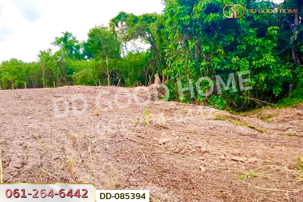 For SaleLandNakhon Nayok : Land for sale in Ban Na, Nakhon Nayok, 4 rai 257 sq.w., near Ban Na Subdistrict Administrative Organization. DD-085394