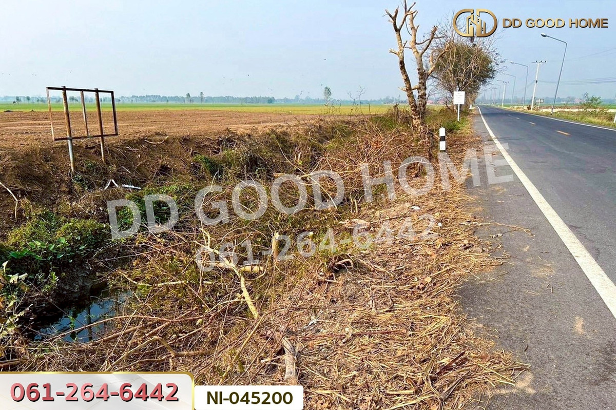 LandKamphaeng Phet : Land for sale in Wang Bua, 27 rai 19 sq.wah, Khlong Khlung, Kamphaeng Phet, near Wang Bua Subdistrict Administrative Organization. NI-045200