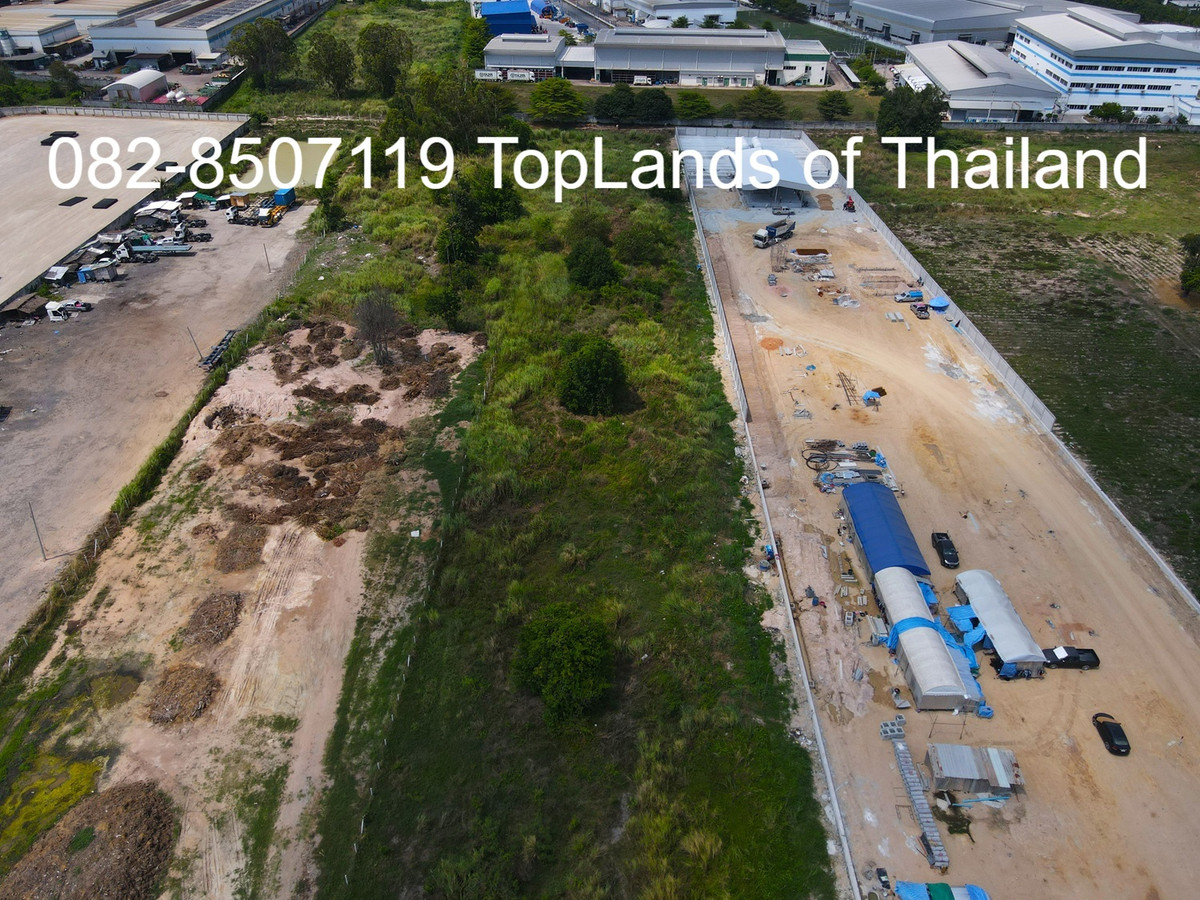 ขายที่ดินศรีราชา แหลมฉบัง บ้านบึง : ขาย ที่ดิน ศรีราชา แหลมฉบัง ผังสีม่วง (ใกล้ท่าเรือ และนิคมอุตสาหกรรม 2 แห่ง) เนื้อที่ 6 ไร่ ถนนกว้าง 8-12 m. เหมาะสร้าง โกดัง คลังสินค้า โรงงานอุตสาหกรรม