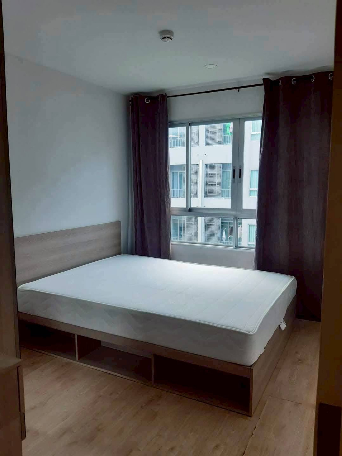 For RentCondoKasetsart, Ratchayothin : #L260🎉50469 Condo for rent Elio Del Moss Phaholyothin (รหัสเดิมS3724)  