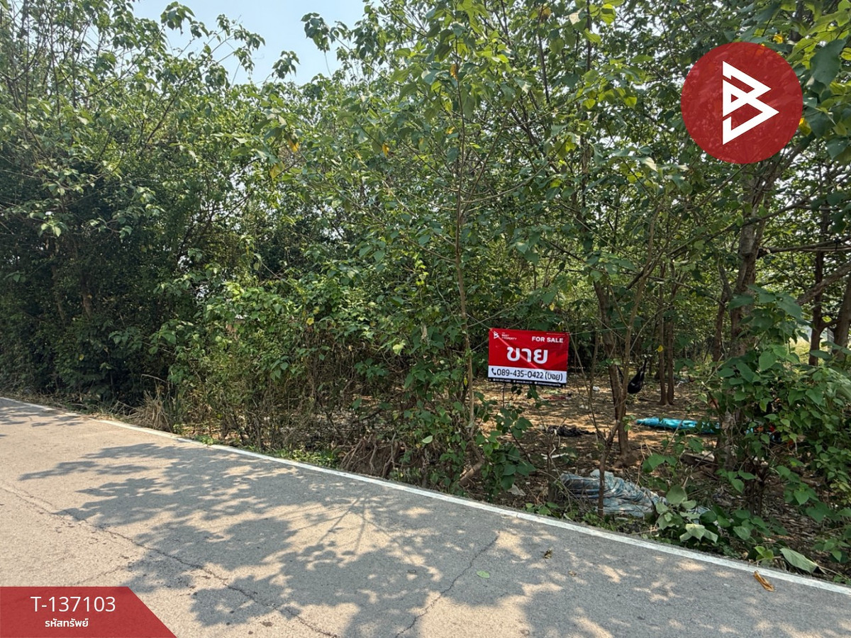 ขายที่ดินเชียงใหม่ : ขายที่ดิน เนื้อที่ 3 งาน 96 ตร.วา หางดง เชียงใหม่