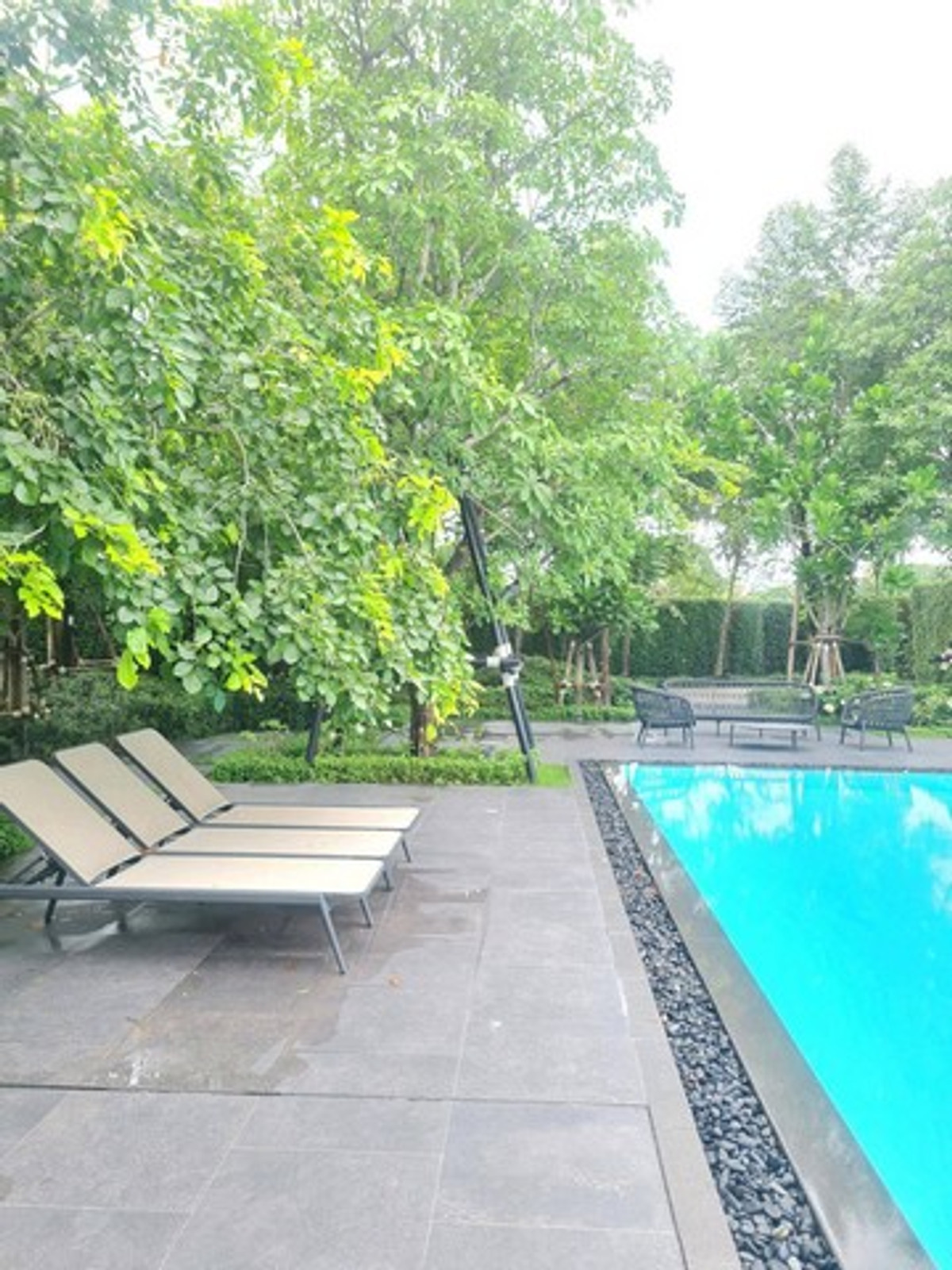 ให้เช่าบ้านพัฒนาการ ศรีนครินทร์ : HR3352ให้เช่า/ขาย บ้านเดี่ยว 3 ชั้น หลังใหญ่ Nirvana ABSOLUTE กรุงเทพกรีฑา กรุงเทพกรีฑาตัดใหม่ โซนพิเศษติดพื้นที่ส่วนกลาง ใกล้คลับเฮ้าส์เพียงไม่กี่ก้าว