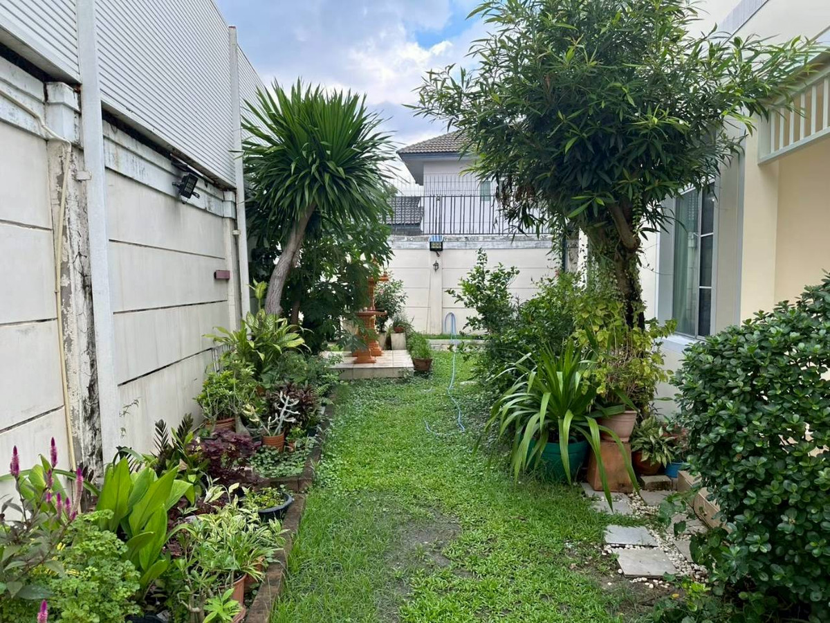 ให้เช่าบ้านบางแค เพชรเกษม : เช่าบ้านเดี่ยว 2 ชั้น | 3 ห้องนอน 3 ห้องน้ำ  หมู่บ้านนันทวัน สาธร ราชพฤกษ์