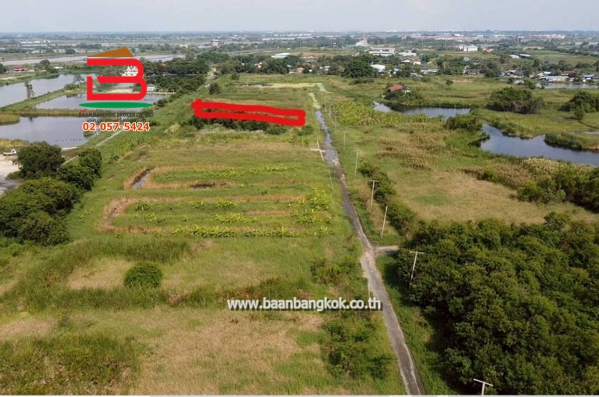 ขายที่ดินสมุทรปราการ สำโรง : ที่ดินเปล่า ซอยบางนาการ์เด้น เนื้อที่ 2 ไร่ (ใกล้มหาวิทยาลัยอัสสัมชัญ วิทยาเขตสุวรรณภูมิ) ถนนบางนา-ตราด ตำบลบางเสาธง อำเภอบางเสาธง จังหวัดสมุทรปราการ