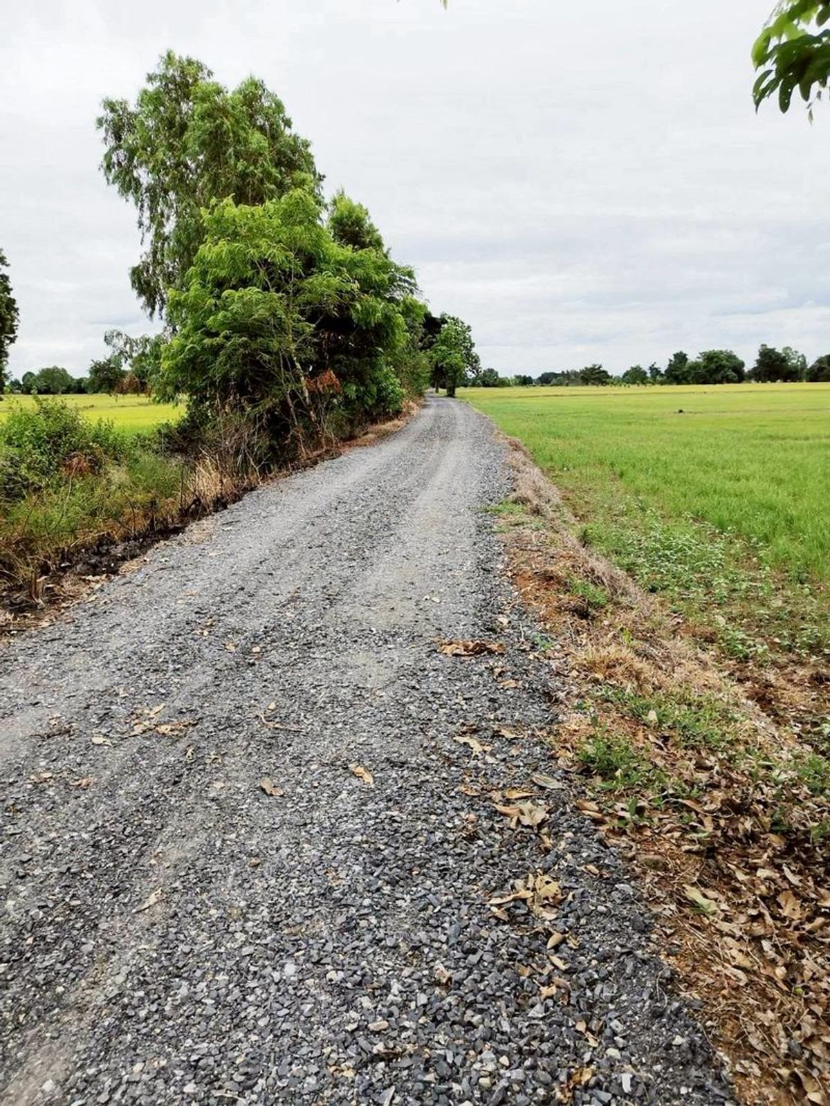 For SaleLandNakhon Sawan : Land for sale 64-0-48 rai, Huai Tan Nuea Subdistrict, Nong Bua District, Nakhon Sawan Province.