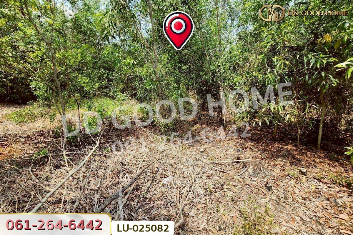 ขายที่ดินมีนบุรี-ร่มเกล้า : ที่ดินคลองสิบสอง 1 ไร่ 1 ตร.ว. หนองจอก ใกล้ศูนย์สุขภาพโรงพยาบาลเวชการุณย์รัศมิ์ LU-025082