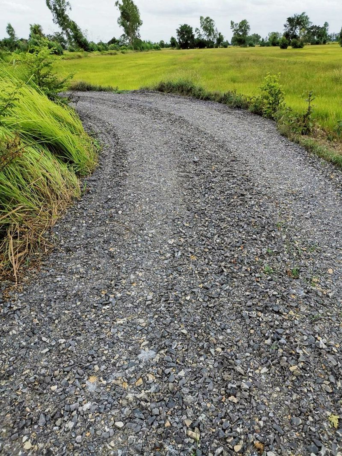 For SaleLandNakhon Sawan : Land for sale 64-0-48 rai, Huai Tan Nuea Subdistrict, Nong Bua District, Nakhon Sawan Province.