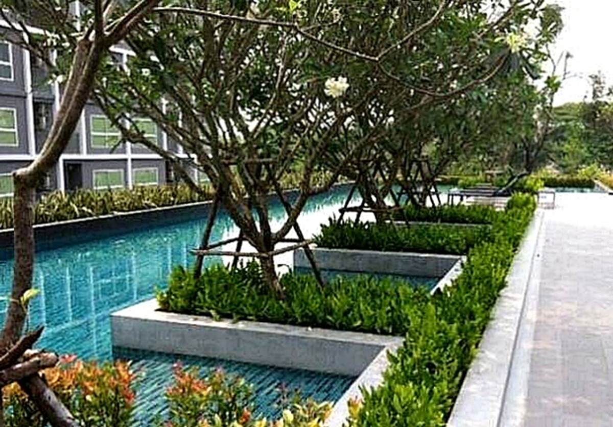 For SaleCondoRamkhamhaeng, Hua Mak : 📣 [For Sale] Urgent sale!! Condo D Condo Ramkhamhaeng