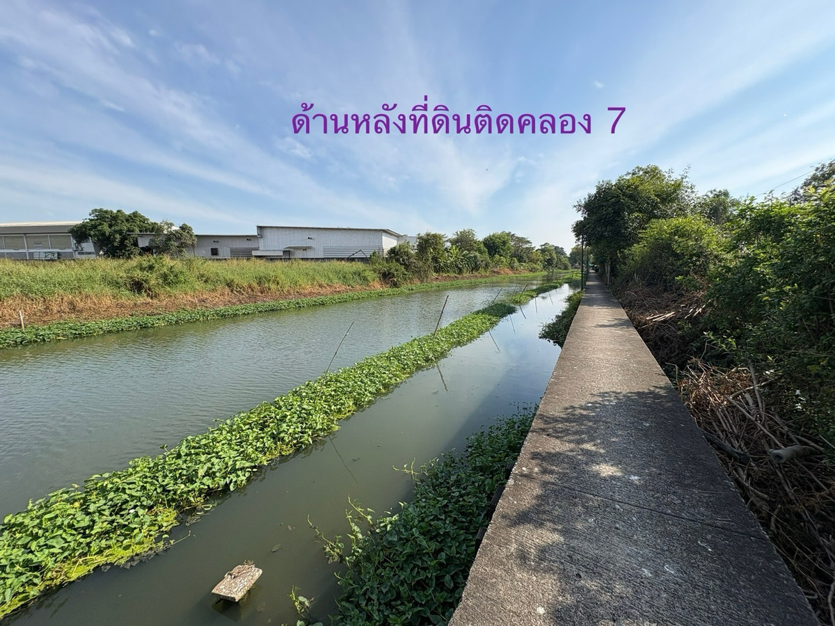 ขายที่ดินปทุมธานี รังสิต ธรรมศาสตร์ : ขายที่ดินติดถนนใหญ่ 4 เลน ถ.ลำลูกกา คลอง 7 -ธัญบุรี (ปท 3004)