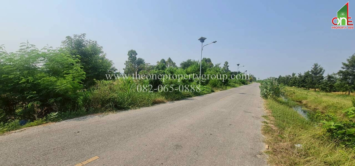 ขายที่ดินนครปฐม : ที่ดิน 1-2-58.8 ไร่ ยังไม่ถม ถ.มาลัยแมน ถ.เลียบคลองประปา ต.บ้านยาว อ.เมืองนครปฐม จ.นครปฐม