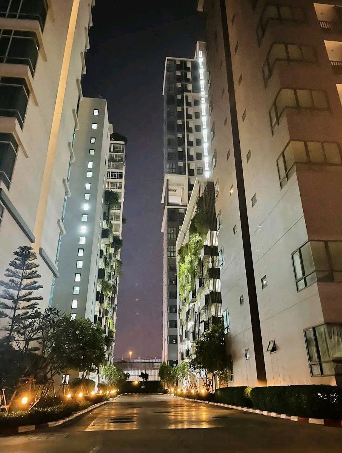 For RentCondoOnnut, Udomsuk : 🚩For Rent : The Sky sukhumvit / Available April 16,26 / 35 Sqm. / Fully Furnished