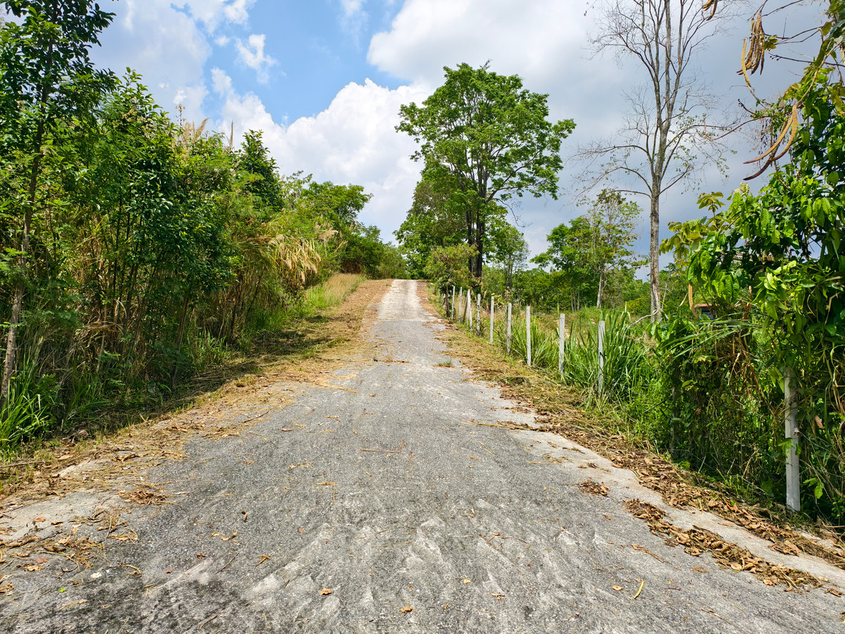 ขายที่ดินโคราช นครราชสีมา : ขายด่วน บ้านสวน พร้อมทุเรียน 2 ไร่  วังน้ำเขียว ติดวัดป่าปฏิบัติธรรม ทำเลดี อากาศบริสุทธิ์