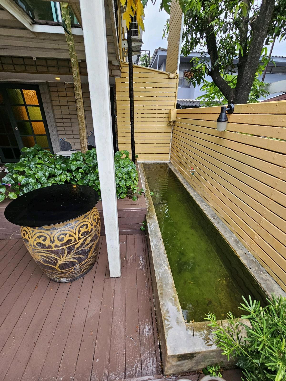 ขายบ้านเสรีไทย-นิด้า : ‼️ขายด่วน‼️Chic House For Sale‼️
Looking 🥰for a Stylish and Cozy Home?  ใครกำลังมองหาบ้านสไตล์เก๋ๆ? ไม่ซ้ำใครมาทางนี้  ใกล้ NIDA, นวมินทร์, เสรีไทย 