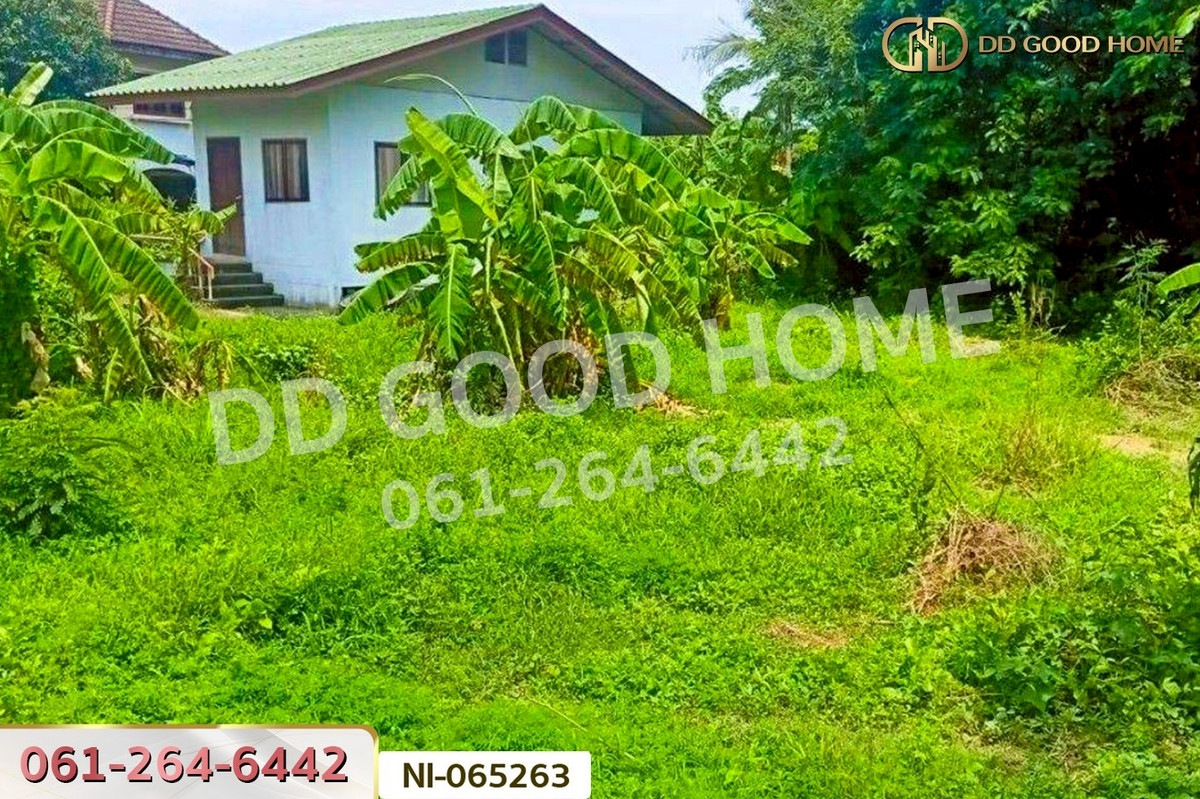 ขายที่ดินปราจีนบุรี : ที่ดินพร้อมสิ่งปลูกสร้างท่างาม 3 ไร่ 229.3 ตร.ว. ปราจีนบุรี ใกล้วัดกระแจะ NI-065263