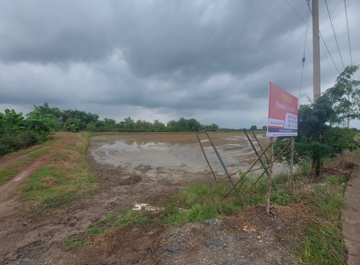 ขายที่ดินฉะเชิงเทรา : ที่ดินเปล่า จ.ฉะเชิงเทรา