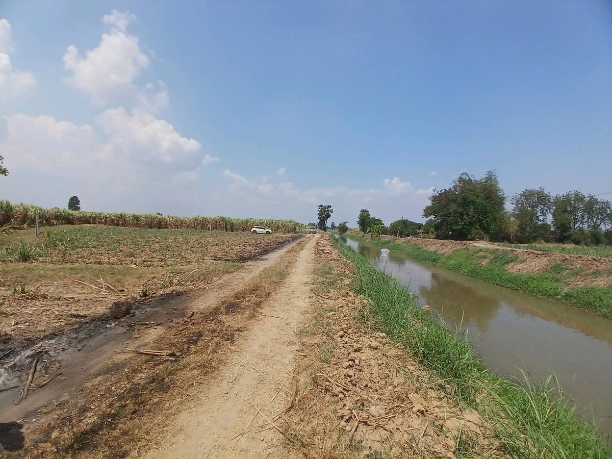 ขายที่ดินสุพรรณบุรี : 🌿 ขายที่ดินสุพรรณบุรี 10 ไร่ ติดคลองชลประทาน 💰 พร้อมไร่อ้อย เก็บเกี่ยวขายได้ทันที!