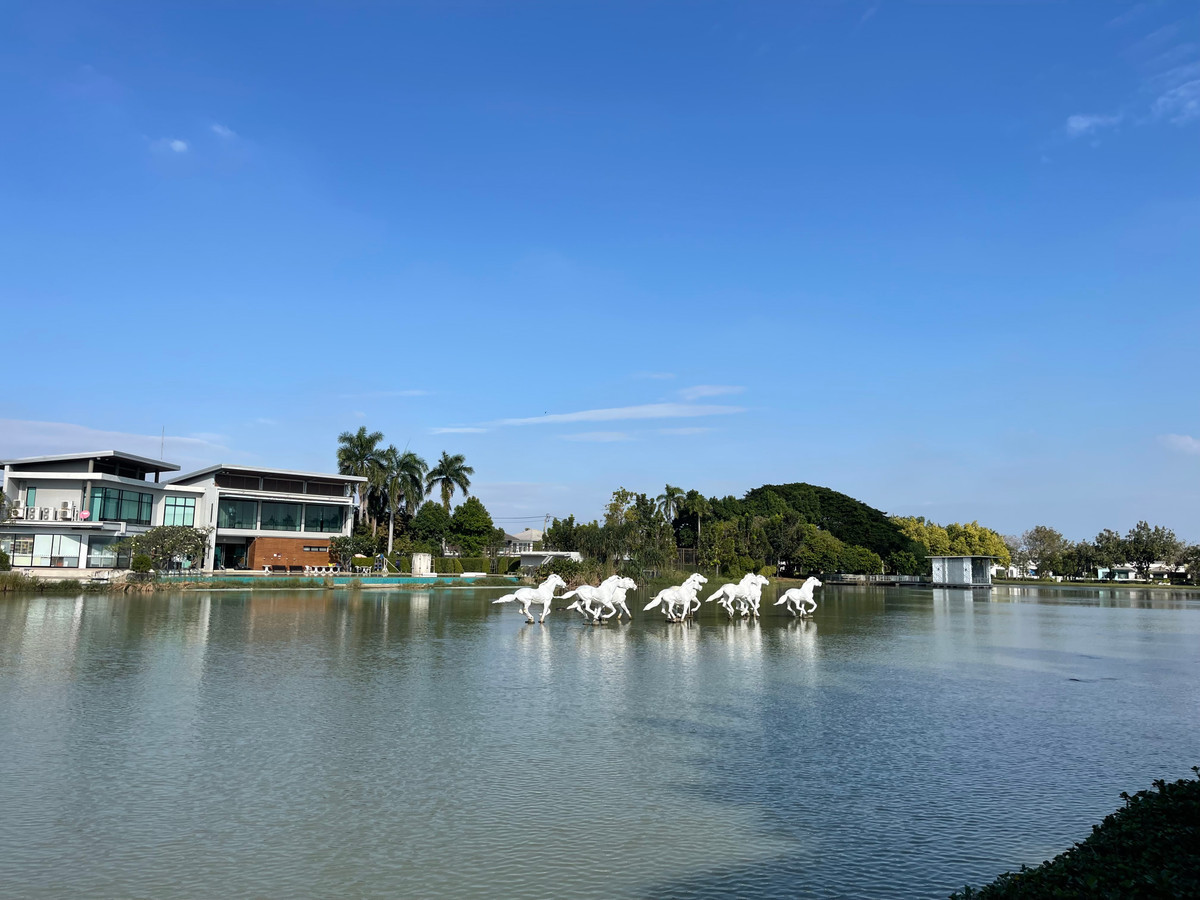 ให้เช่าบ้านนนทบุรี บางใหญ่ บางบัวทอง : ปล่อยเช่าบ้านเดี่ยว เพอร์เฟค เพลส รัตนาธิเบศร์ - สถานีไทรม้า ใกล้ MRT สายสีม่วง