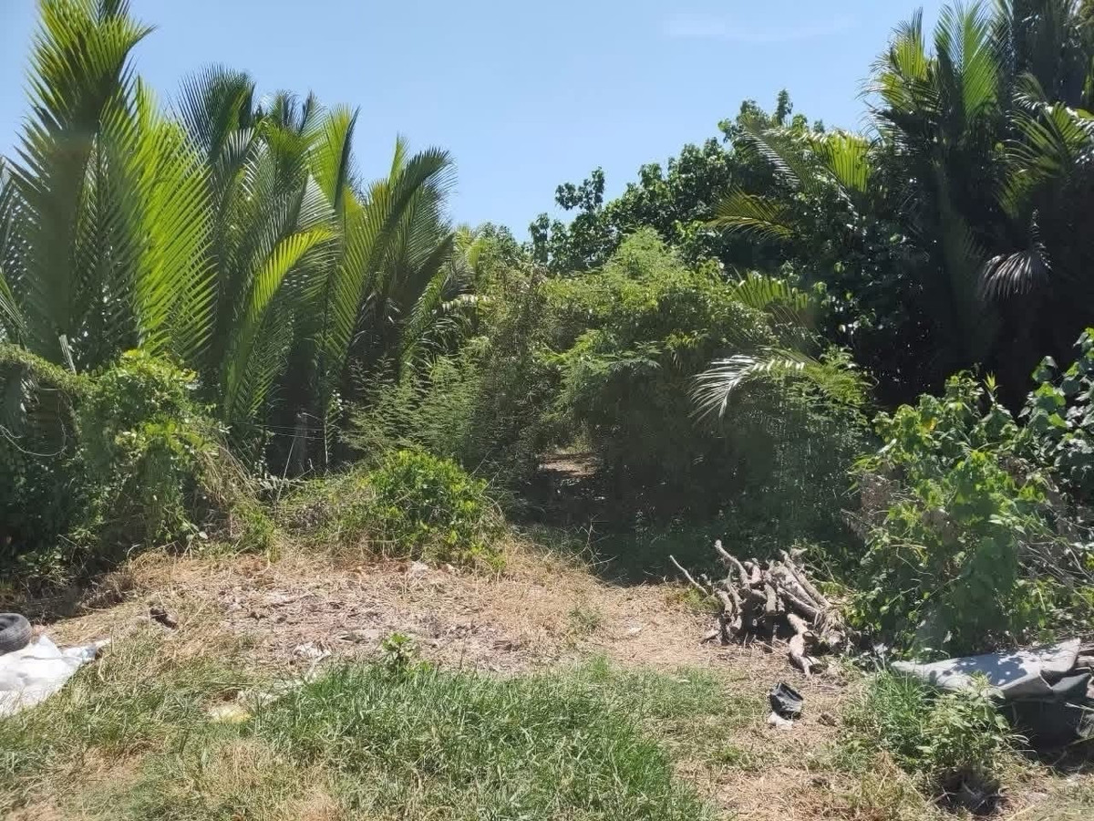 For SaleLandSamut Prakan,Samrong : 🟣Land for sale next to the Chao Phraya River, 23 -1-20 rai, purple area. Pu Chao Saming Phrai Road, Phra Pradaeng, suitable for factories/warehouses, width 56 meters, next to water (can build a pier), has an alley to access the land, trailer vehicles can 