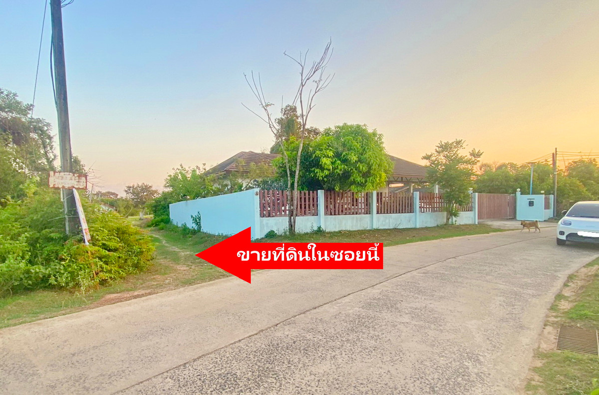 ขายที่ดินอุบลราชธานี : ขายถูก ที่ดิน เนื้อที่ 77 ตร.ว.  ต.ขามใหญ่  อ.เมืองอุบลราขธานี   จ.อุบลราขธานี