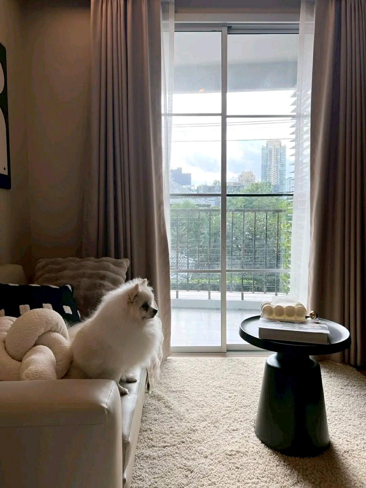 ให้เช่าคอนโดสุขุมวิท อโศก ทองหล่อ : 🐶🐱Luxury Pet Friendly Condo for Rent in Prompong ( Sukhumvit 39) 🐱🐶