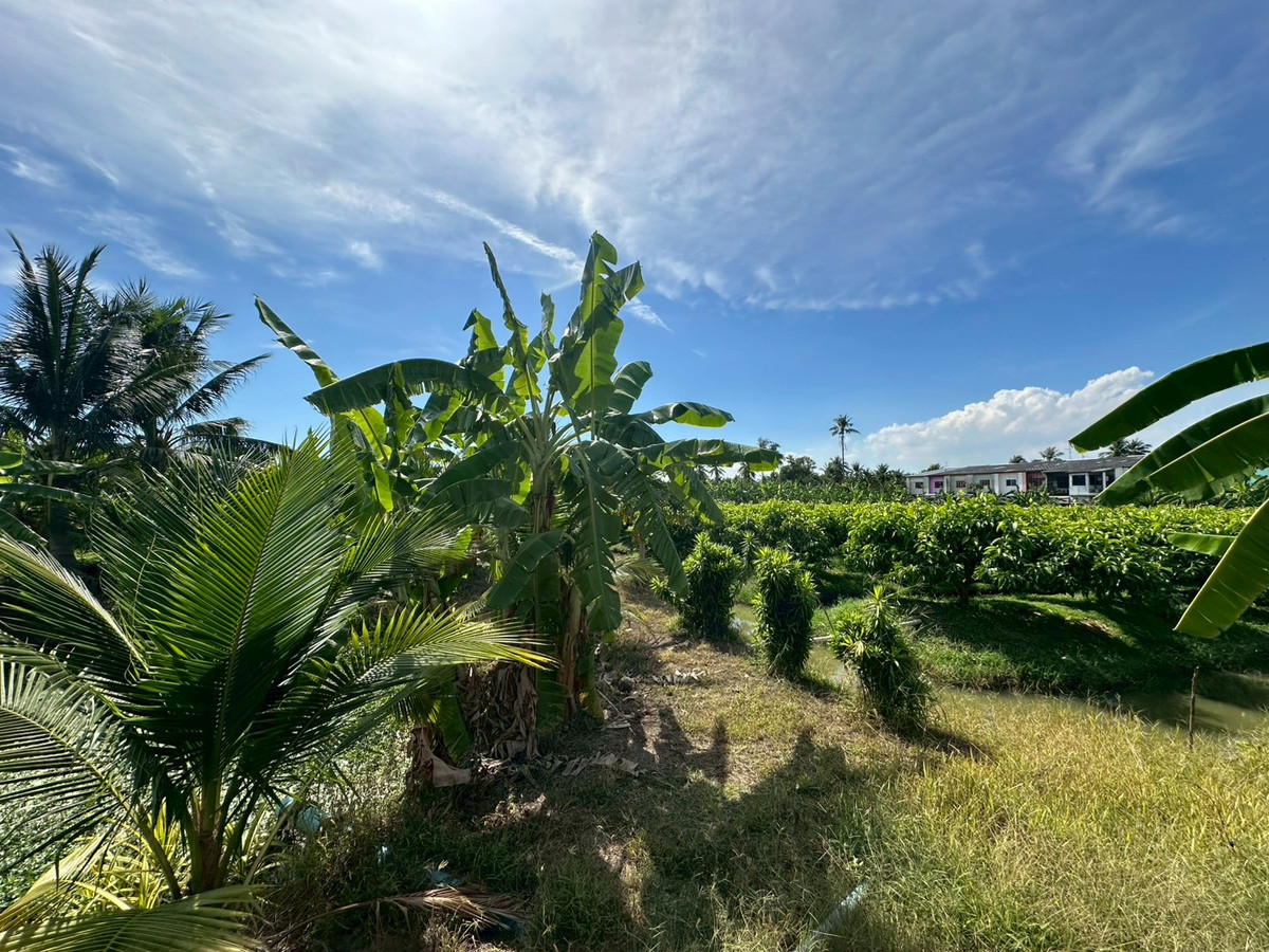 For SaleLandBang kae, Phetkasem : Empty land for sale, Soi Ruam Yat, area 8-0-72 rai, good location, convenient travel, access to water and electricity.