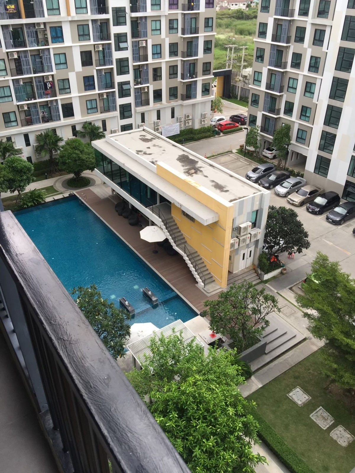 ขายคอนโดพุทธมณฑล ศาลายา : ขายคอนโด ไอคอนโด ศาลายา(หลังม.มหิดล) 1.39 ลบ.