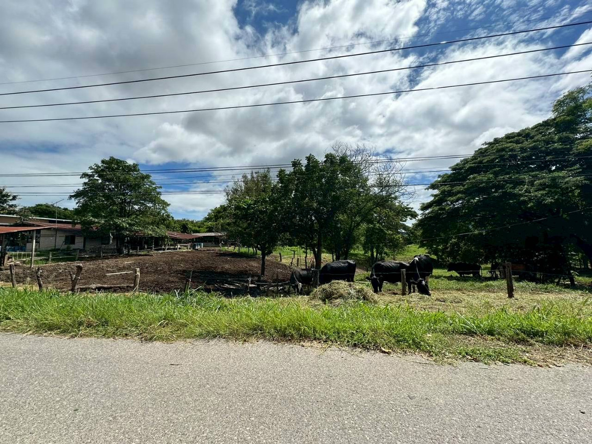 ขายที่ดินสระบุรี : 96309 - ขายที่ดินพร้อมบ้านไม้สัก มวกเหล็ก สระบุรี วิวธรรมชาติ ใกล้สนามกอล์ฟ