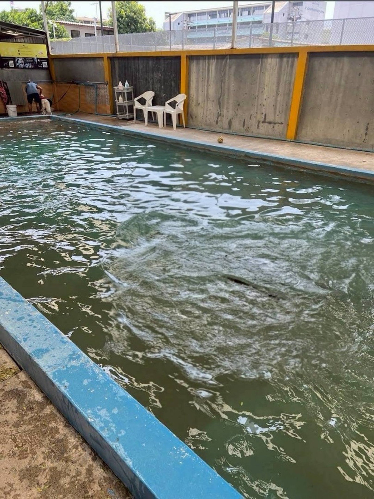 ที่ดินรามคำแหง หัวหมาก : ขาย/เช่า ที่ดิน รามคำแหง ใกล้ MRT ที่ดินแปลงใหญ่ 386 ตารางวา พร้อมสิ่งปลูกสร้าง เหมาะพัฒนาอพาร์ทเม้นท์ โฮมออฟฟิศ ลงทุน