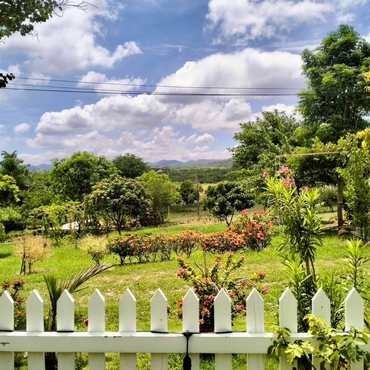 ขายกิจการโรงแรม & กิจการอพาร์ตเมนต์สระบุรี : ขายบ้านเดี่ยว/รีสอร์ท พร้อมที่ดิน 10ไร่ วิวภูเขา เหมาะทำโรงแรม รีสอร์ท โฮมสเตย์ พูลวิลล่า Air bnb วังม่วง สระบุรี แต่งสวยจัด น่าลงทุนมาก ขายถูก