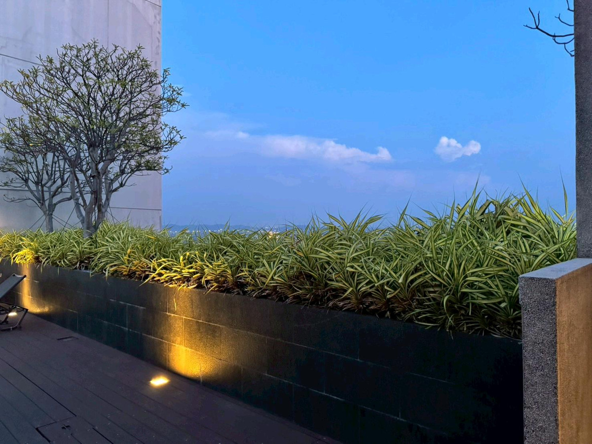 ให้เช่าคอนโดพัทยา บางแสน ชลบุรี สัตหีบ : Posh Pattaya​ ห้องมุม วิวทะเล+city