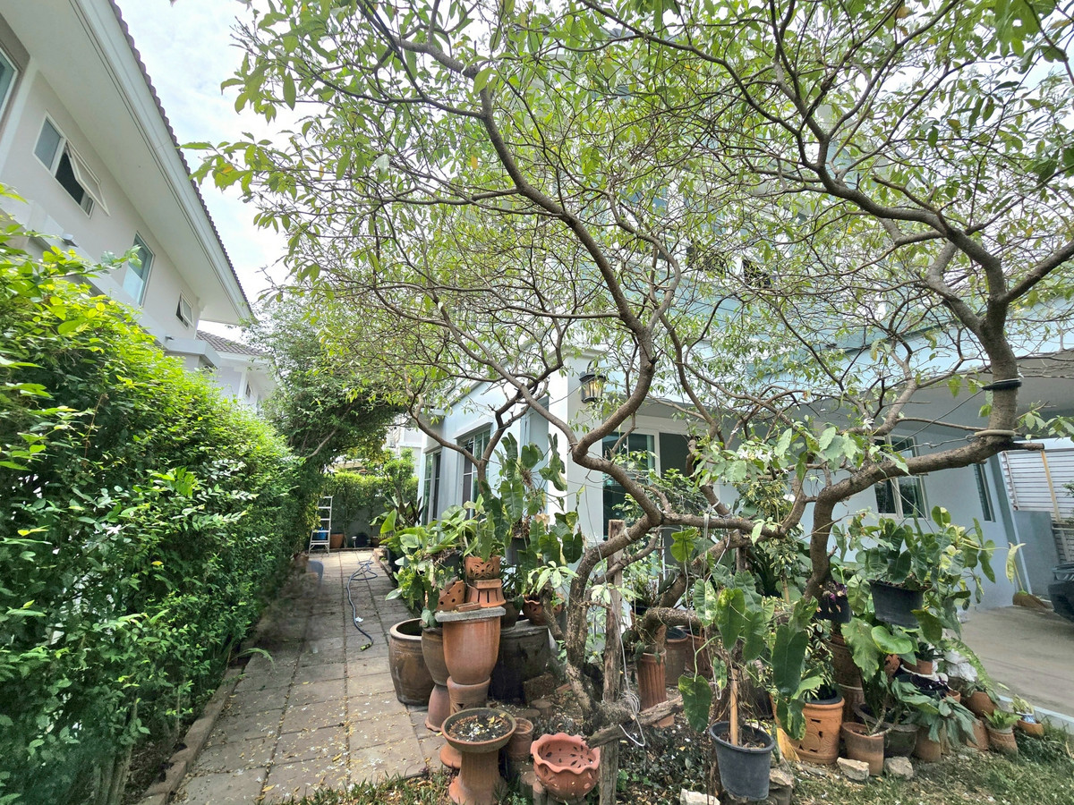 ขายบ้านพุทธมณฑล ศาลายา : 95903 - ขาย บ้านเดี่ยว 2 ชั้น โครงการ Villaggio Pinklao-Salaya ถนนสำเร็จพัฒนา ต.ศาลากลาง อ.บางกรวย จ.นนทบุรี