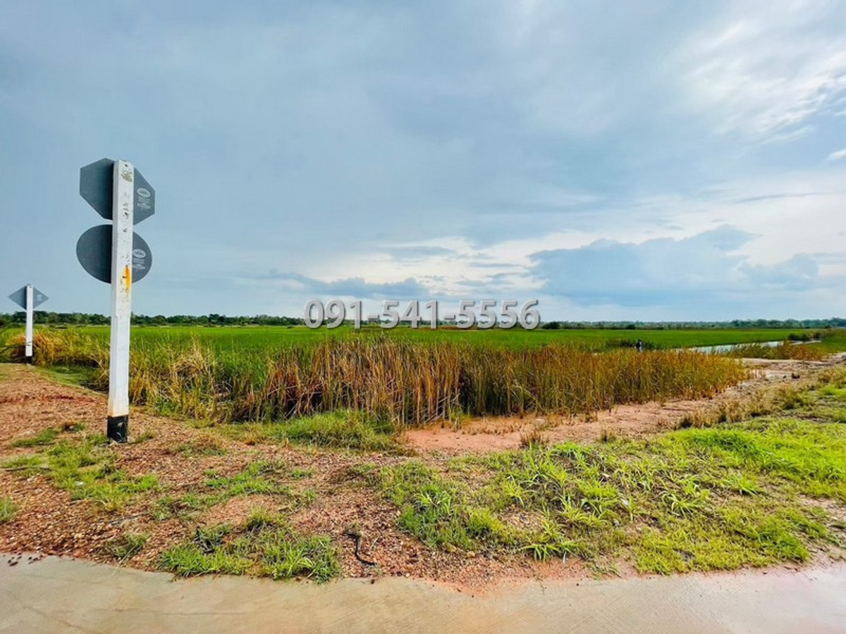 ขายที่ดินโคราช นครราชสีมา : ขายที่ดิน รูปแปลงที่ดินถุงเงินถุงทอง เนื้อที่ 9-2-67.7 ไร่ ถนนวงแหวนรอบเมือง 290 เหนือตอน 2 กำปัง โนนไทย นครราชสีมา