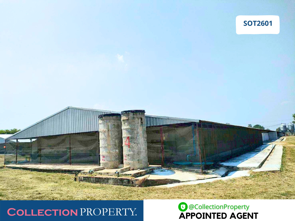For SaleHotel&Apartment BusinessSaraburi : 🐓 URGENT SALE! Fully Operational Standard Chicken Farm with 91+ Rai of Land – Saraburi 🚜