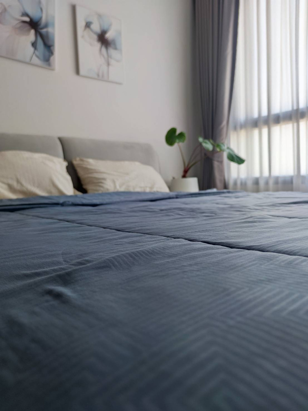 For RentCondoKhlongtoei, Kluaynamthai : ✨Condo for Rent : Ideo Sukhumvit - Rama 4 (AP-02) ( line : @condo91 )