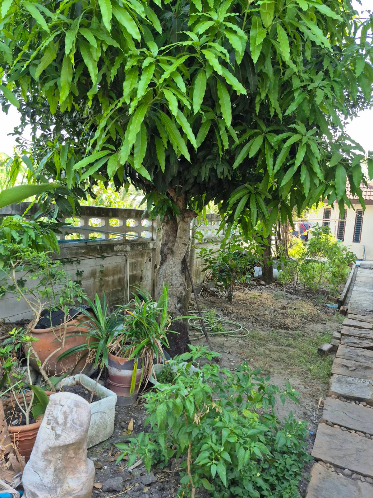 ขายบ้านนวมินทร์ รามอินทรา : บ้านเดี่ยวหรู กฤษดานคร 25 | 16 ล้าน 6 ห้องนอน | ใกล้รถไฟฟ้าวงแหวนรามอินทรา  | บ้านมงคล ฮวงจุ้ยดี  “ครบทั้งทำเล + พลังดี”