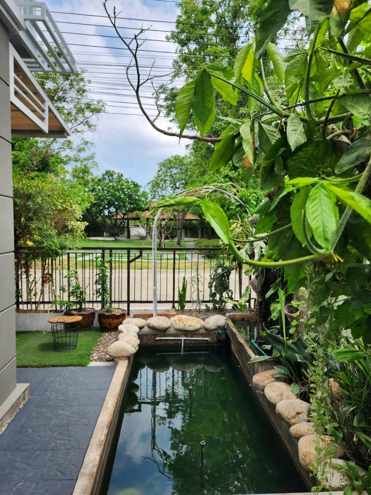 For RentPattanakan, Srinakarin : Twin house for rent 53,000 months.