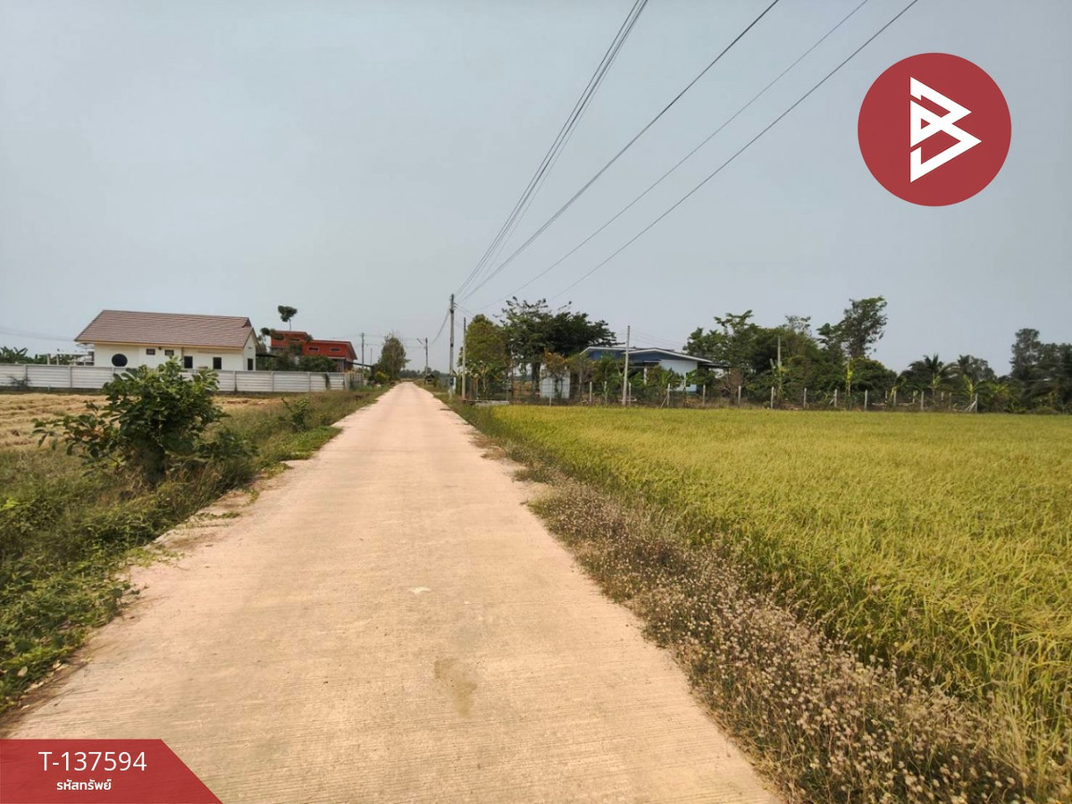 For SaleLandPhitsanulok : Land for sale, area 3 rai 1 ngan 65.8 square wah, Ban Krang Subdistrict, Phitsanulok.