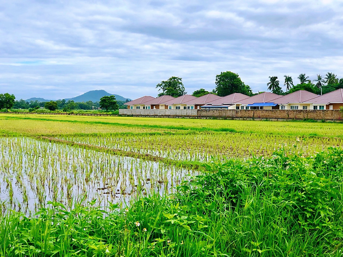 ขายที่ดินเชียงราย : ขายที่ดิน ทำเลทอง บ้านดู่ อ.เมือง จ.เชียงราย 17 ไร่ ๆ ละ 4 ล้าน ใกล้สนามบิน ม.ราชภัฏ สร้างหอพัก หมู่บ้านได้ ทำเลที่พักอาศัย