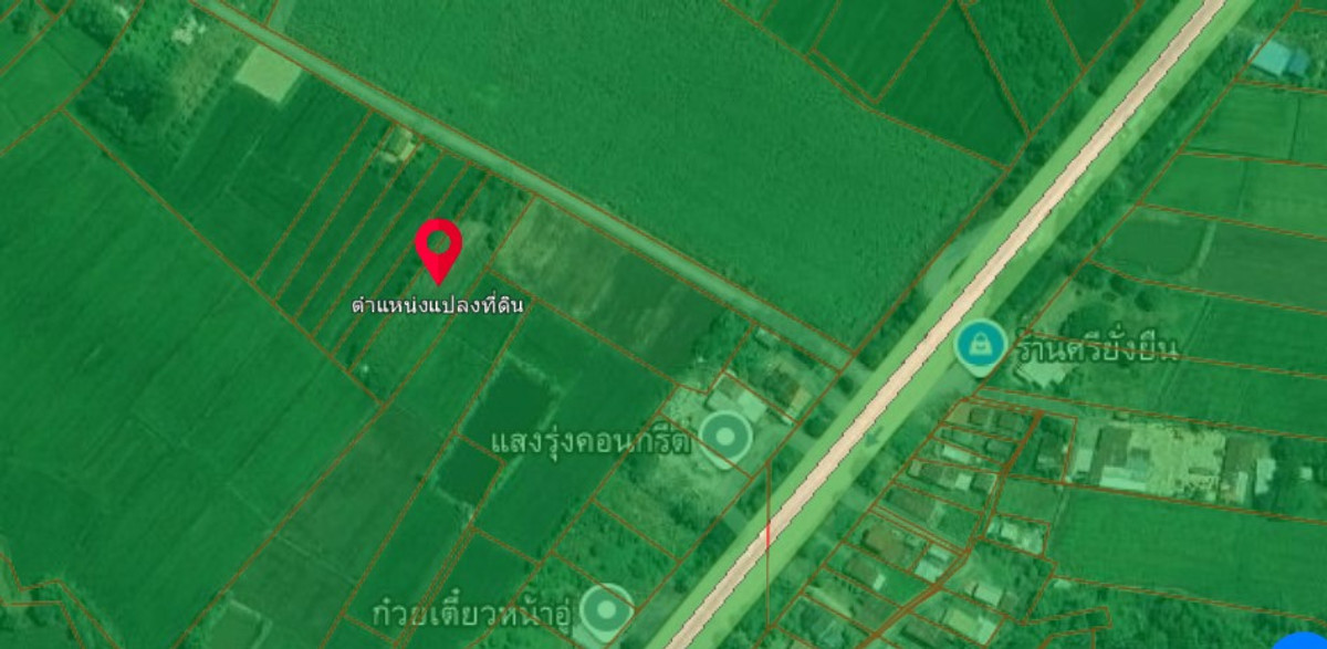 ขายที่ดินเพชรบูรณ์ : ขายที่ดิน จ.เพชรบูรณ์ อ.หนองไผ่ ที่ดินสวย วิวภูเขา ใกล้ถนนหมายเลย 21 สระบุรี-หล่มสัก ถนนคชเสนีย์ 2 ไร่ เหมาะสำหรับสร้างบ้านพักอาศัย ห้องเช่า การเกษตรทำสวน ใกล้ธรรมชาติ หรือรีสอร์ทขนาดเล็กได้ พื้นที่สีเขียว เพรชบูรณ์, อ.หนองไผ่, 