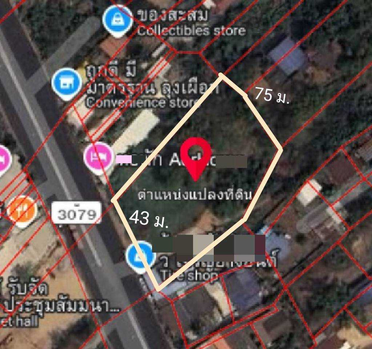 For SaleLandPrachin Buri : Land for Sale: Prime City Center Location, Prachinburi Main 4-Lane Road Frontage