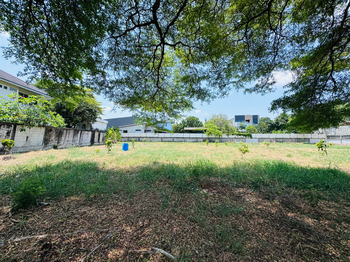 ขายที่ดินบางนา แบริ่ง ลาซาล : ราคาดีที่สุด ที่ดินแปลงสวย ในโครงการ วินด์มิลล์ พาร์ค (Windmill Park) บางนา