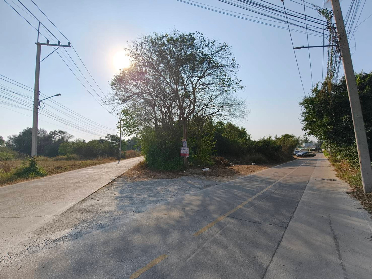 ขายที่ดินพัทยา บางแสน ชลบุรี สัตหีบ : ขายที่ดิน ซอย เทพมิมิตร ต.หนองปลาไหล บางระมุง ชลบุรี  โทร 095-089-2688  