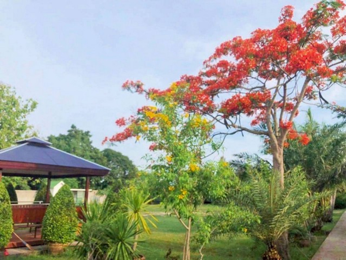 ขายบ้านพัทยา บางแสน ชลบุรี สัตหีบ : ขายบ้านเดี่ยว 2 ไร่ 94.5 ตรว. ใกล้อ่างเก็บน้ำมาบประชัน 5 นอน 6 น้ำ มีบ้านพักรีสอร์ท 3 หลัง และห้องใต้ดินสุดหรู ใกล้สนามกอล์ฟและรร.นานาชาติ 