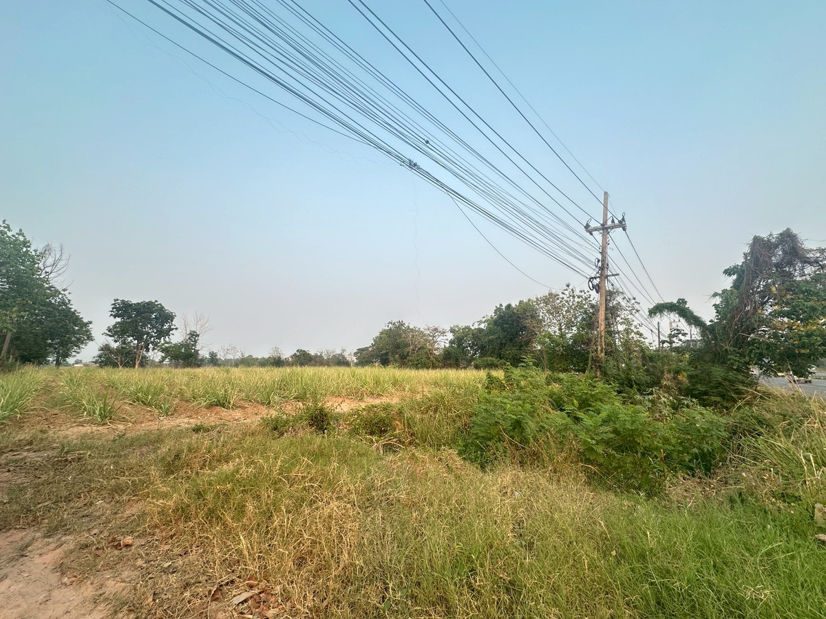 ขายที่ดินขอนแก่น : ขายที่ดิน ติดถนนมิตรภาพขอนแก่น