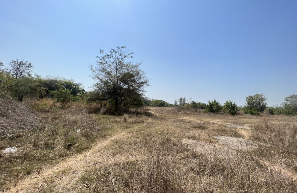 ขายที่ดินยโสธร : ที่ดินแปลงใหญ่ อ.เมือง ยโโสธร