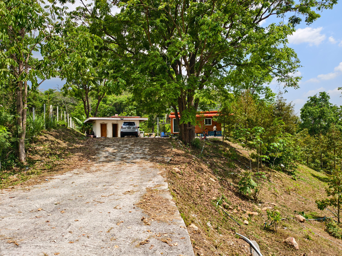 For SaleLandKorat Nakhon Ratchasima : Urgent sale, garden house with durian, 2 rai, Wang Nam Khiao, next to a forest temple for Dhamma practice, good location, fresh air.