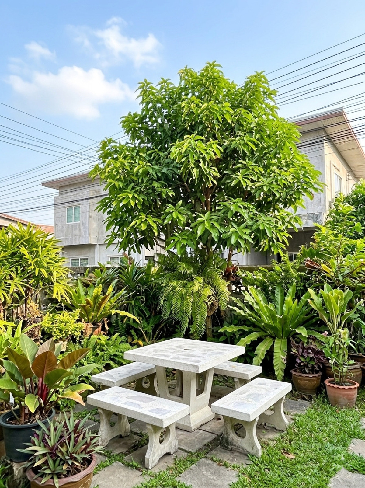 For SaleHousePathum Thani,Rangsit, Thammasat : Muang Ake Village Project 1 / 8 Bedrooms (For Sale), Muang Ake Village 1 / 8 Bedrooms (FOR SALE) BNS060