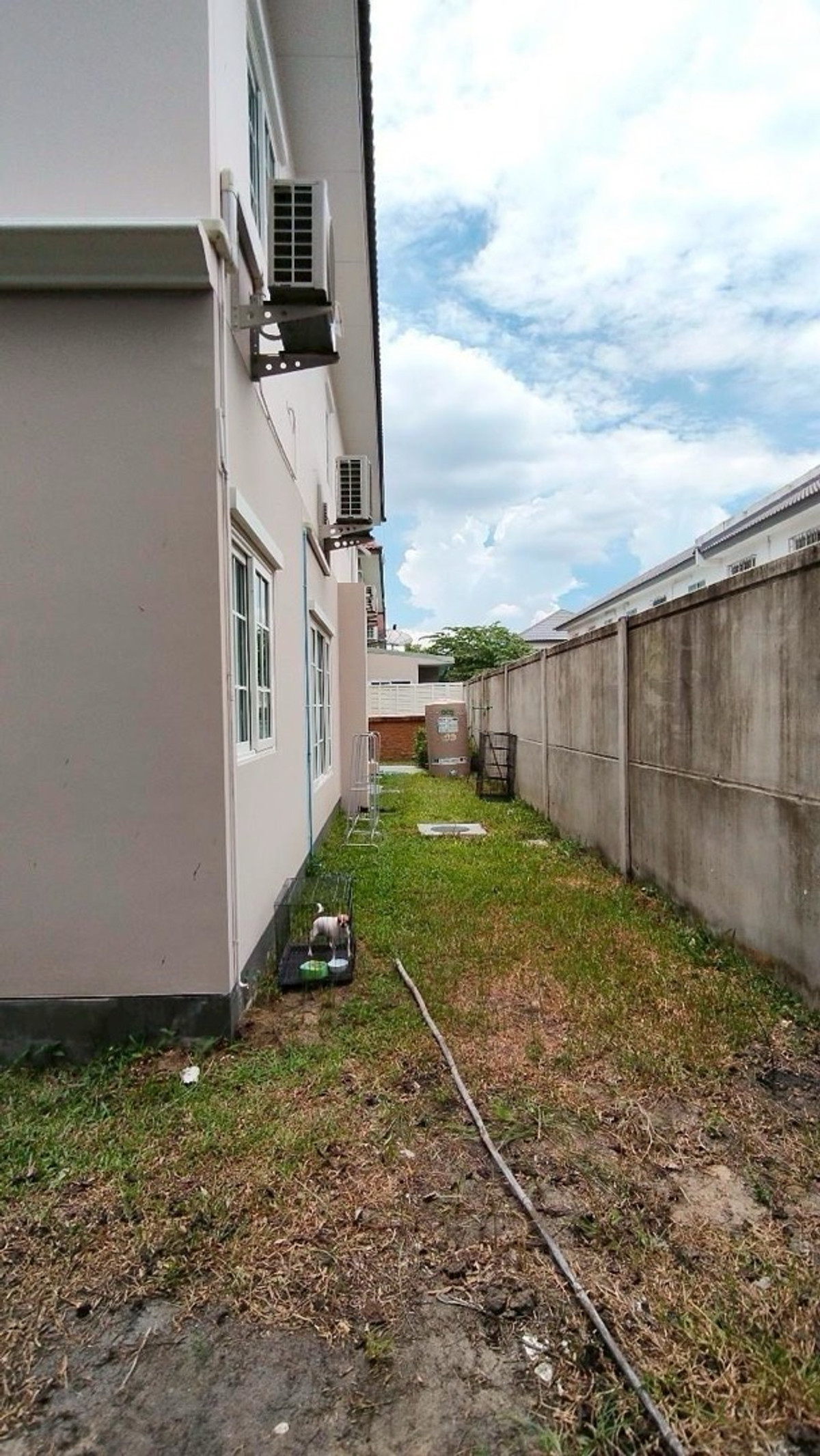 HouseBang kae, Phetkasem : 🏡✨ FOR SALE / RENT – Neo Home Bangkae (Largest Corner Unit in the Project) ✨🏡